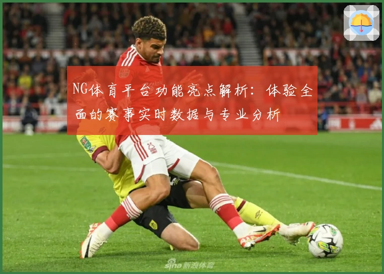 NG体育平台功能亮点解析：体验全面的赛事实时数据与专业分析